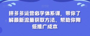 拼多多运营必学体系课，带你了解最新流量获取方法、帮助你降低推广成本-林文副业站
