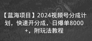 【蓝海项目】2024视频号分成计划，快速开分成，日爆单8000+，附玩法教程-林文副业站