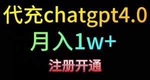 代充chatgpt4，日入500+，精准引流，暴力变现【揭秘】-林文副业站