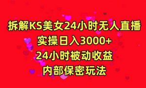 利用快手24小时无人美女直播,实操日入3000,24小时被动收益,内部保密玩法【揭秘】-林文副业站