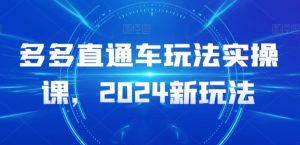 多多直通车玩法实操课，2024新玩法-林文副业站