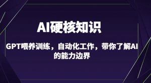 AI硬核知识-GPT喂养训练,自动化工作,带你了解AI的能力边界(10节课)-林文副业站