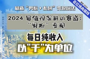 【私域流量最值钱】把“男粉”流量打到手，你便有无数种方法可以轻松变现，每日纯收入以“千”为单位-林文副业站