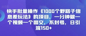 快手批量操作《1000个野路子信息差玩法》的项目,一分钟做一个视频一个图文,不封号,日引流150+【揭秘】-林文副业站