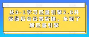 从0-1学习巨量引擎2.0升级版后台设置实操,全面了解巨量引擎-林文副业站