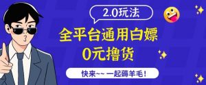 外面收费2980的全平台通用白嫖撸货项目2.0玩法【仅揭秘】-林文副业站