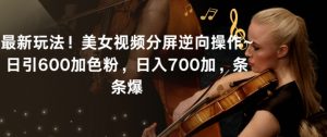 最新玩法！美女视频分屏逆向操作~日引600加色粉，日入700加，条条爆【揭秘】-林文副业站