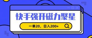 信息差赚钱项目，快手强开磁力聚星，一单20，日入200+【揭秘】-林文副业站