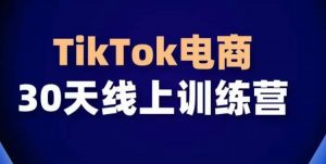TikTok电商带货30天线上课,不可错过的全球流量洼地!-林文副业站