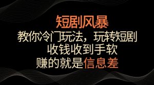 短剧风暴，教你冷门玩法，玩转短剧，收钱收到手软【揭秘】-林文副业站