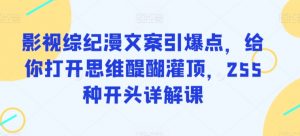 影视综纪漫文案引爆点，给你打开思维醍醐灌顶，255种开头详解课-林文副业站