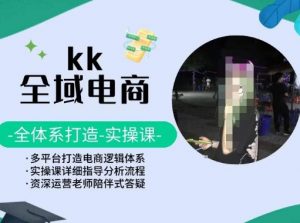 KK全域电商,全体系打造实操课,多平台打造电商逻辑体系-林文副业站