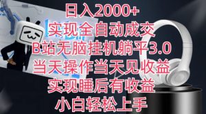 日入2000+，实现全自动成交，B站无脑挂机躺平3.0，当天操作当天见收益，实现睡后有收益【揭秘】-林文副业站