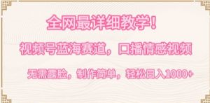 全网最详细教学,视频号蓝海赛道,口播情感视频,无需露脸,制作简单,轻松实现日入1000+【揭秘】-林文副业站