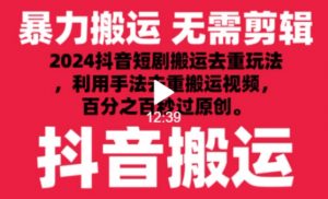 2024最新抖音搬运技术，抖音短剧视频去重，手法搬运，利用工具去重，达到秒过原创的效果【揭秘】-林文副业站