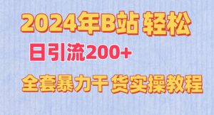 2024年B站轻松日引流200+的全套暴力干货实操教程【揭秘】-林文副业站