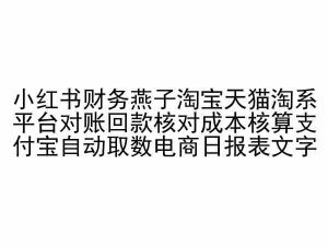 小红书财务燕子淘宝天猫淘系平台对账回款核对成本核算支付宝自动取数电商日报表-林文副业站