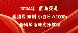 2024年视频号短剧新玩法小白日入1000+保姆级落地实操教程【揭秘】-林文副业站
