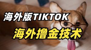 抖音海外版tiktok撸金技术，这个风口行业，赚钱真的不难【揭秘】-林文副业站