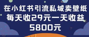 在小红书引流私域卖壁纸每张29元单日最高卖出200张(0-1搭建教程)【揭秘】-林文副业站