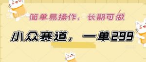 小众赛道，一单299.简单易操作，长期可做【揭秘】-林文副业站