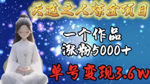天选之人炼金项目，一个作品涨粉5000+，单号变现3.6w【揭秘】-林文副业站