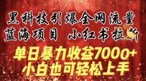 蓝海项目!黑科技引爆全网流量小红书拉新，单日暴力收益7000+，小白也能轻松上手【揭秘】-林文副业站