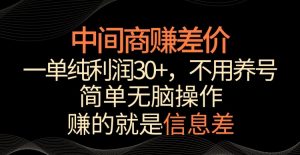 中间商赚差价，一单纯利润30+，简单无脑操作，赚的就是信息差，轻轻松松日入1000+【揭秘】-林文副业站