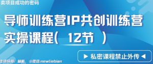 导师训练营3.0IP共创训练营私密实操课程（12节）-卖项目的密码成功秘诀【揭秘】-林文副业站