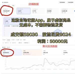 小红书蓝海小众项目，自动记账快捷指令，实操月入50000+【揭秘】-林文副业站