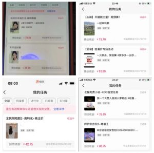 2024年3月最新,快手磁力聚星全流程实操教学,8台手机日均收益稳定100~200元【揭秘】-林文副业站