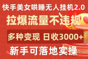 快手美女哄睡无人挂机2.0.拉爆流量不违规,多种变现途径,日收3000+,新手可落地实操【揭秘】-林文副业站