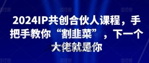 2024IP共创合伙人课程，手把手教你“割韭菜”，下一个大佬就是你-林文副业站