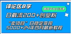 抖音评论区8字日截流200+创业粉 “卖项目”日稳定变现5000+【揭秘】-林文副业站