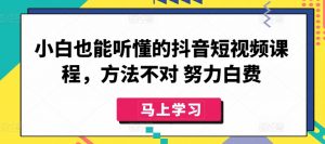 小白也能听懂的抖音短视频课程,方法不对 努力白费-林文副业站