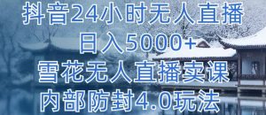 抖音24小时无人直播 日入5000+，雪花无人直播卖课，内部防封4.0玩法【揭秘】-林文副业站