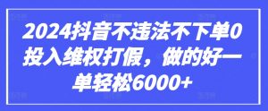 2024抖音不违法不下单0投入维权打假，做的好一单轻松6000+【仅揭秘】-林文副业站