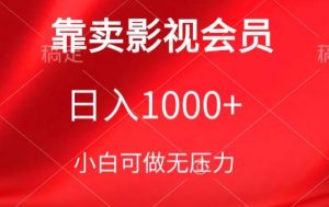 靠卖影视会员，日入1000+，落地保姆级教程，新手可学【揭秘】-林文副业站