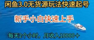 2024最新闲鱼无货源玩法，从0开始小白快手上手，每天2小时月收入过万【揭秘】-林文副业站
