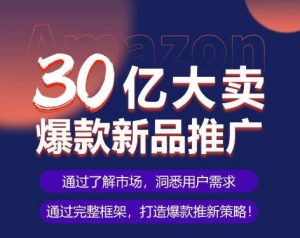 亚马逊·30亿大卖爆款新品推广,可复制、全程案例实操的爆款推新SOP-林文副业站