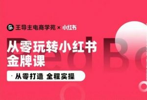 王导主·小红书电商运营实操课，​从零打造  全程实操-林文副业站