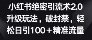 小红书绝密引流术2.0升级玩法,破封禁,轻松日引100+精准流量【揭秘】-林文副业站