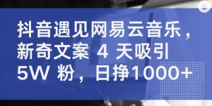 抖音遇见网易云音乐，新奇文案 4 天吸引 5W 粉，日挣1000+【揭秘】-林文副业站