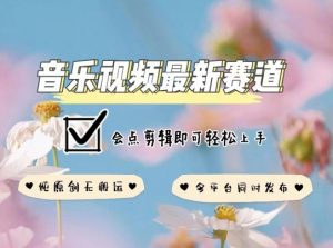 音乐视频赛道最新玩法，纯原创不违规，可所有平台同时发布，会点剪辑即可轻松拿捏【揭秘】-林文副业站