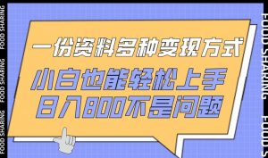 一份资料多种变现方式，小白也能轻松上手，日入800不是问题【揭秘】-林文副业站