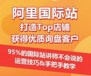 【阿里国际站】打造Top店铺&获得优质询盘客户，​95%的国际站讲师不会说的运营技巧-林文副业站