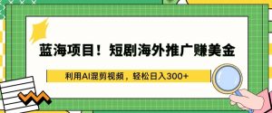 蓝海项目!短剧海外推广赚美金，利用AI混剪视频，轻松日入300+【揭秘】-林文副业站