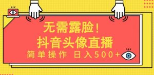 无需露脸，Ai头像直播项目，简单操作日入500+【揭秘】-林文副业站