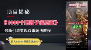 一千个野路子信息差最新玩法教程-变现+引流的玩法具体拆解【揭秘】-林文副业站