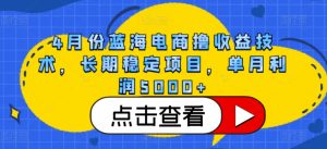 4月份蓝海电商撸收益技术，长期稳定项目，单月利润5000+【揭秘】-林文副业站